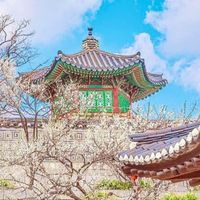 Cách tham quan 5 cung điện nổi tiếng ở Seoul miễn phí