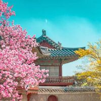 Cách tham quan 5 cung điện nổi tiếng ở Seoul miễn phí