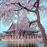 Cách tham quan 5 cung điện nổi tiếng ở Seoul miễn phí