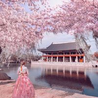 Cách tham quan 5 cung điện nổi tiếng ở Seoul miễn phí