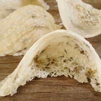 Món ăn đắt nhất thế giới