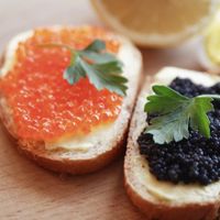 Trứng cá muối Caviar
