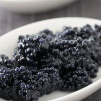 Trứng cá muối Caviar: Món ăn sang chảnh của hội con nhà giàu