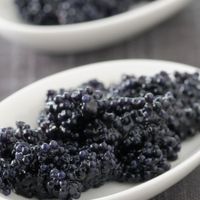 Trứng cá muối Caviar