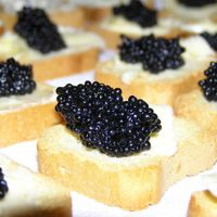 Trứng cá muối Caviar