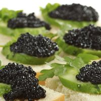 Trứng cá muối Caviar