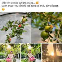 Mỹ Tâm và Mai Tài Phến