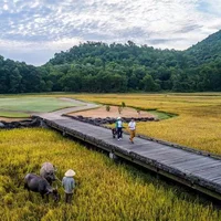 Du lịch xanh tại Việt Nam