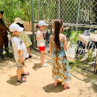 Du lịch xanh tại Việt Nam