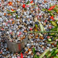Ốc ruốc Đà Nẵng