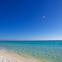 Bãi biển Florida