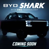 Byd Việt Nam