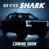 Byd Việt Nam