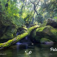 Pu ta leng ở tỉnh nào