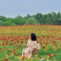 Bỏ túi 3 địa điểm đi chơi gần Hà Nội “rẻ - đẹp"