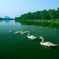Bỏ túi 3 địa điểm đi chơi gần Hà Nội “rẻ - đẹp"