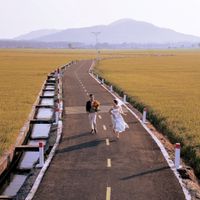 Mẫu ảnh cưới đẹp