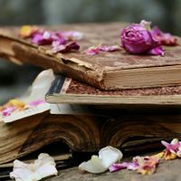 Top 5 cuốn sách về nước hoa cực hay dành cho các tín đồ mùi hương