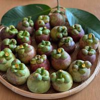 Gỏi gà măng cụt 