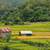Du lịch Tây Nguyên