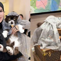 Thương gia Malaysia tổ chức sinh nhật cho mèo ở cửa hàng Louis Vuitton