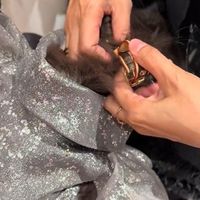 Thương gia Malaysia tổ chức sinh nhật cho mèo ở cửa hàng Louis Vuitton