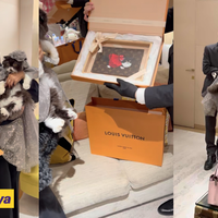 Thương gia Malaysia tổ chức sinh nhật cho mèo ở cửa hàng Louis Vuitton