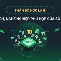 Thần số học của Phạm Nhật Vượng