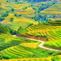 Du lịch Sapa
