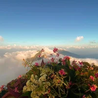 Du lịch mạo hiểm