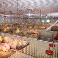 Greenfeed Vietnam