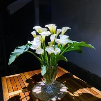 Loài hoa “đỏng đảnh” nhưng nhất định phải cắm vào mùa hè