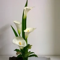 Loài hoa “đỏng đảnh” nhưng nhất định phải cắm vào mùa hè