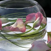 Loài hoa “đỏng đảnh” nhưng nhất định phải cắm vào mùa hè