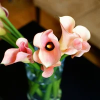 Loài hoa “đỏng đảnh” nhưng nhất định phải cắm vào mùa hè
