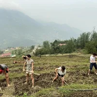 Du lịch Sapa 
