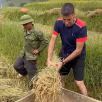 Du lịch Sapa 