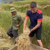 Du lịch Sapa 