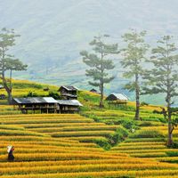 Du lịch Sapa