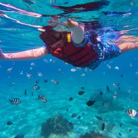 Du lịch Nha Trang