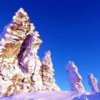 Tổng thống Putin thăm Việt Nam