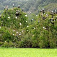Du lịch Ninh Bình