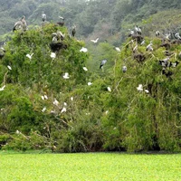 Du lịch Ninh Bình