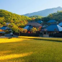 Top 5 khách sạn truyền thống ấn tượng nhất Nhật Bản