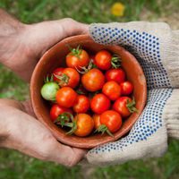Xu hướng ẩm thực locavore: Tôn vinh sản vật địa phương