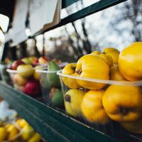 Xu hướng ẩm thực locavore: Tôn vinh sản vật địa phương