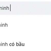 Lâm Minh có bầu lần 2?