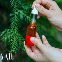 Uống tinh dầu thông đỏ có giảm cân không?