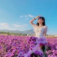 Du lịch Vũng Tàu