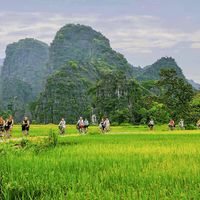 Du lịch Hạ Long